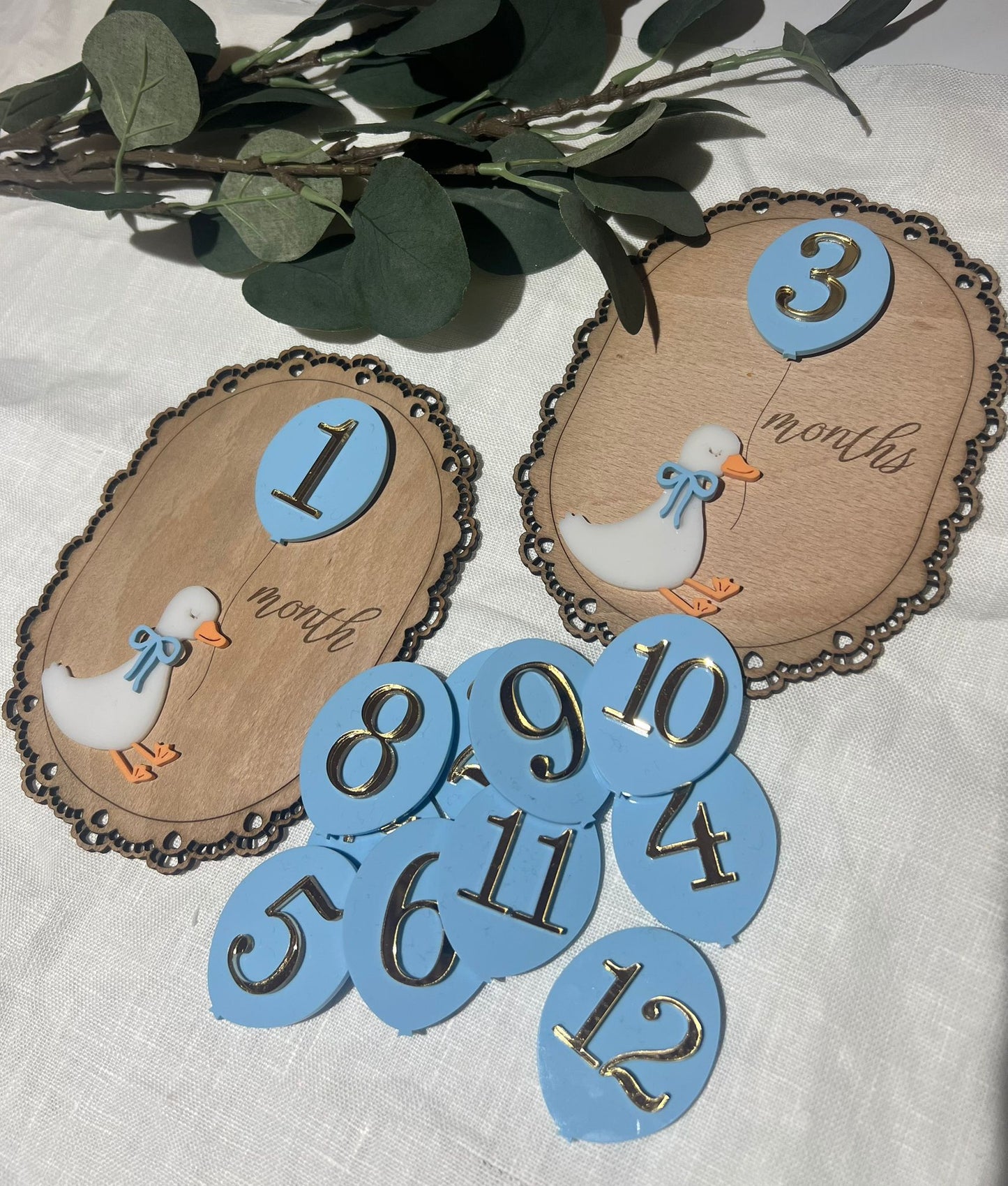 Duck Milestone Plaques with Interchangeable Numbers