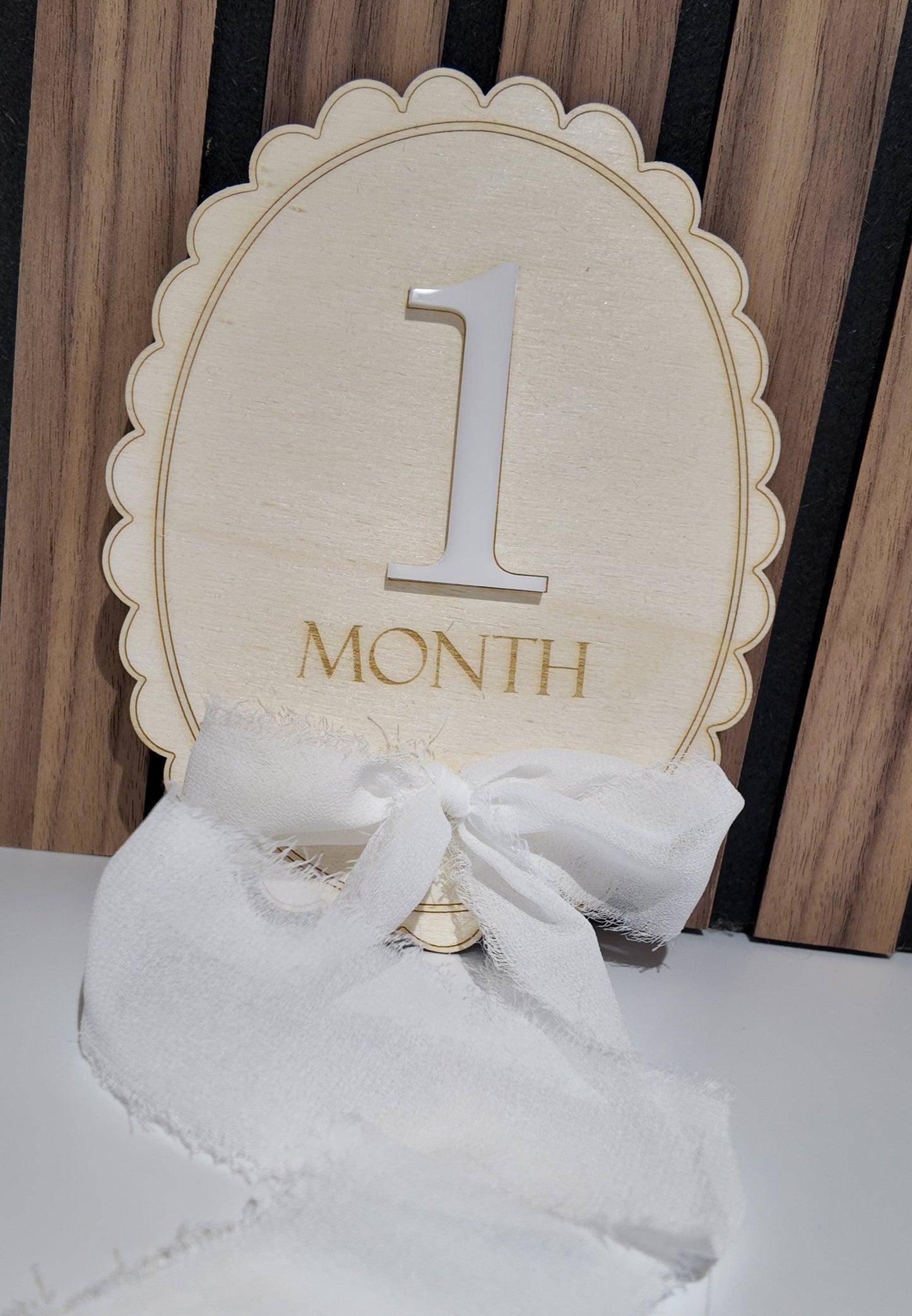 Wooden & Acrylic Monthly Milestone Plaque Set