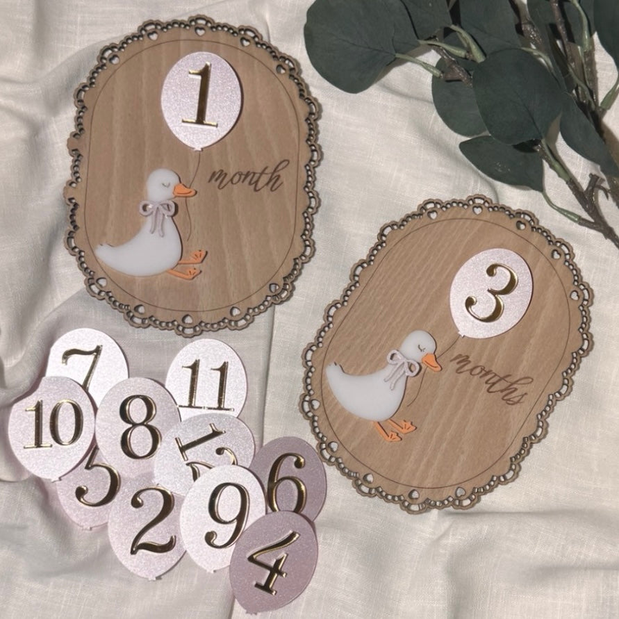 Duck Milestone Plaques with Interchangeable Numbers