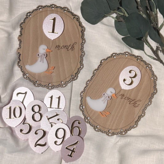 Duck Milestone Plaques with Interchangeable Numbers