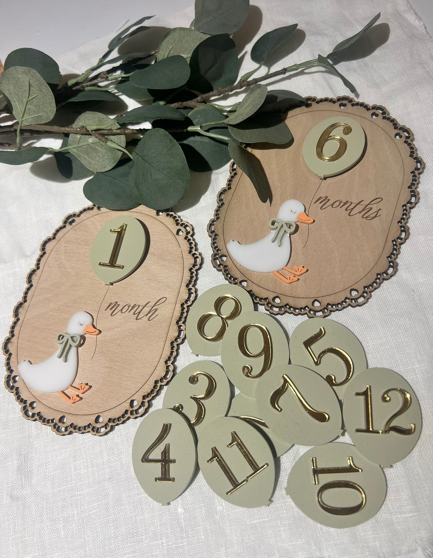 Duck Milestone Plaques with Interchangeable Numbers